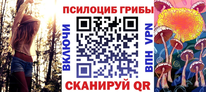 маркетплейс как зайти  цены   Усинск  Галлюциногенные грибы прущие грибы 